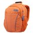 CALTECH-1610B-O11-PRINCIPAL